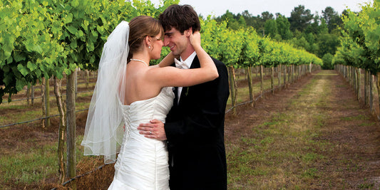 Plan your Dream Wedding