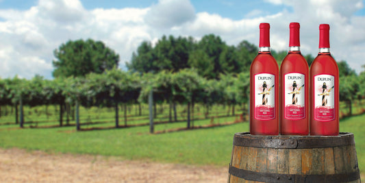 Here's why everyone thinks Hatteras Red is the best red wine
